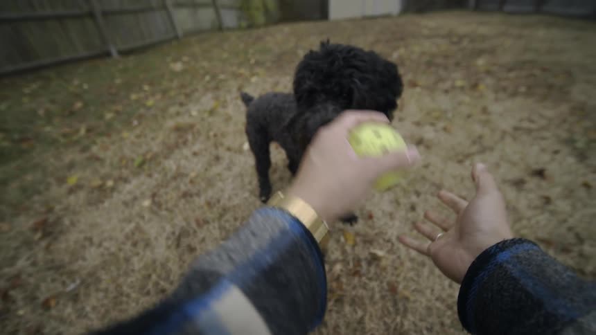 A man holds out a ball while playing with his excited black dog