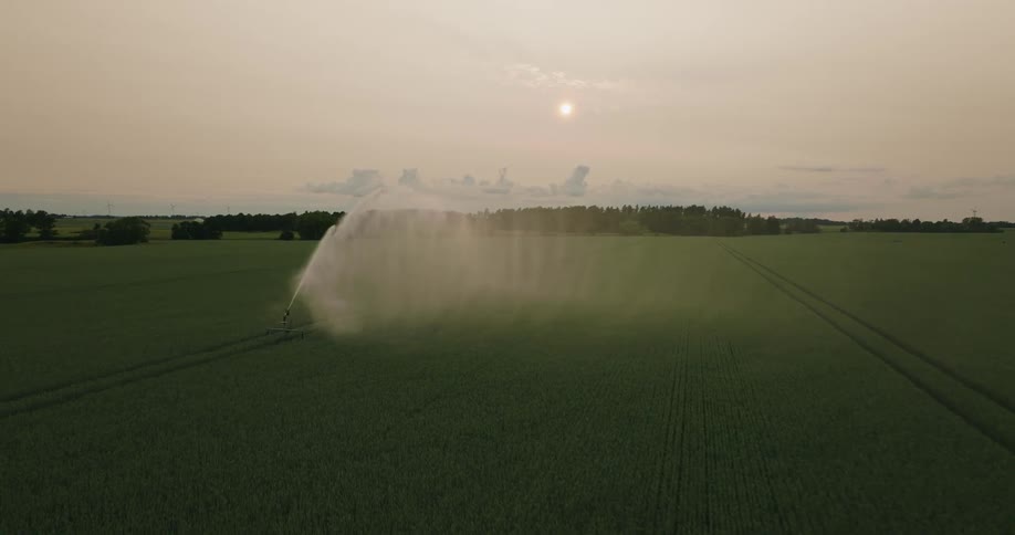 Aerial of the plantation being watered by the water pump during dusk