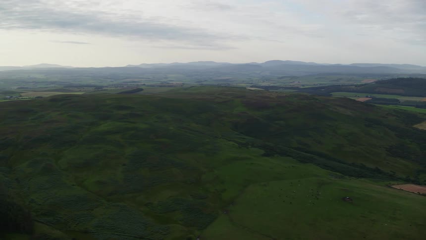 Aerial of rural landscape with meadows and plantations