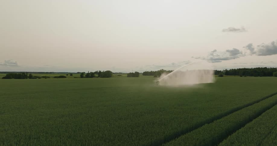 A view of an agricultural field being irrigated by a machine