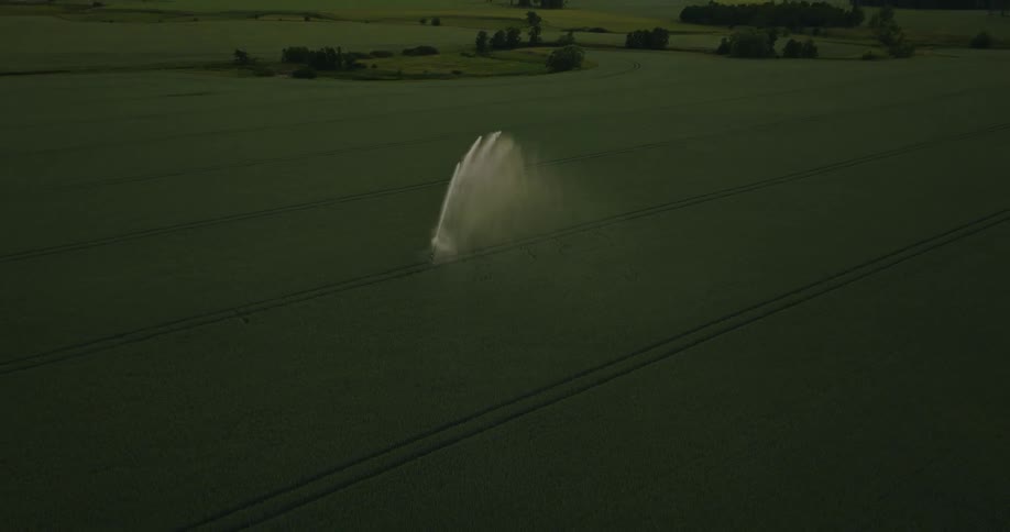 Sprinkler in the middle of a farm field