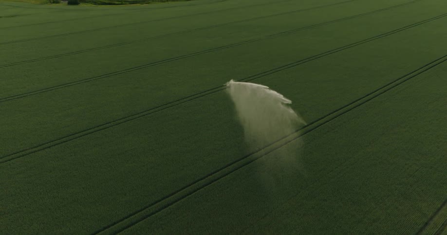 Aerial view of an agricultural field being watered