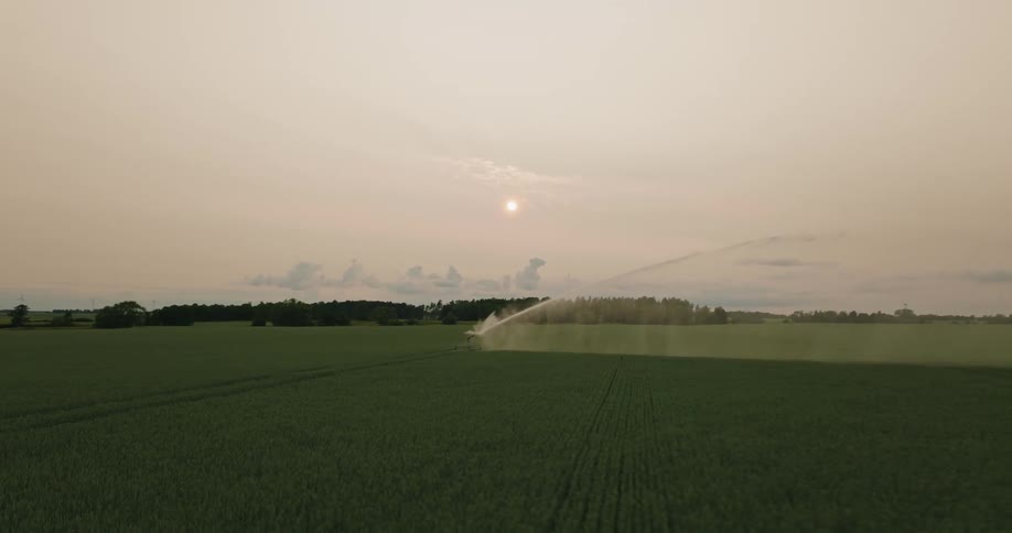 The sprinkler is shooting water all over the farm