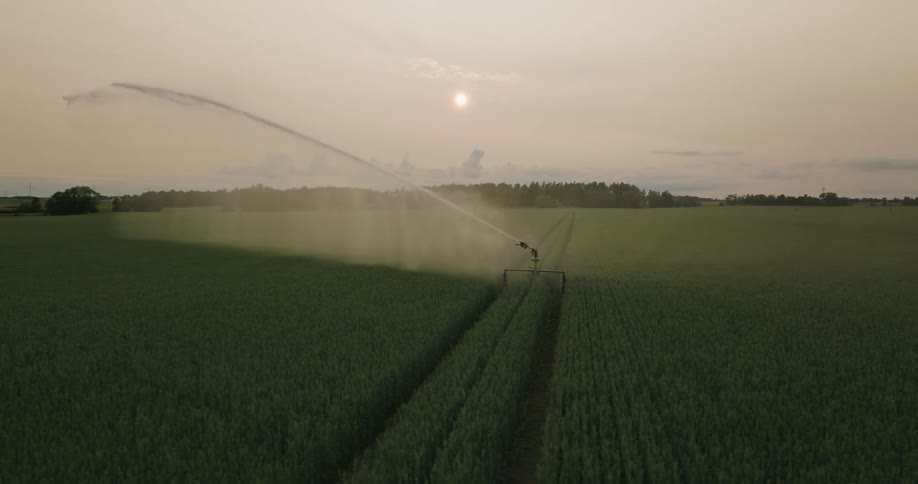 Aerial view of an irrigation system watering crops on a farm at morning