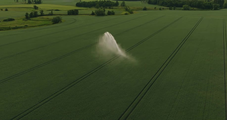 A sprinkler shoots water in a circle