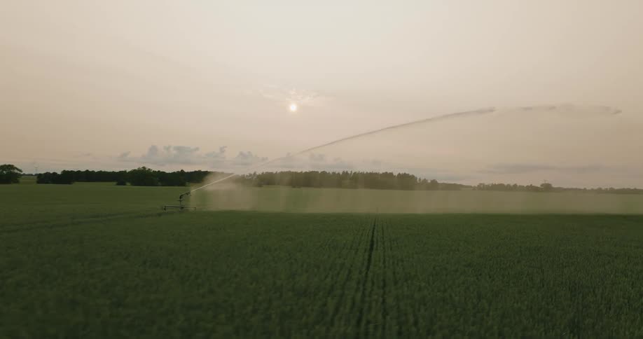 Sprinkler sprays water in the middle of a field