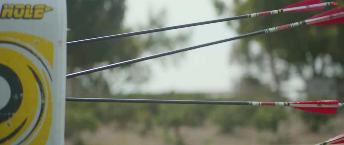 Arrows hitting the target at midday