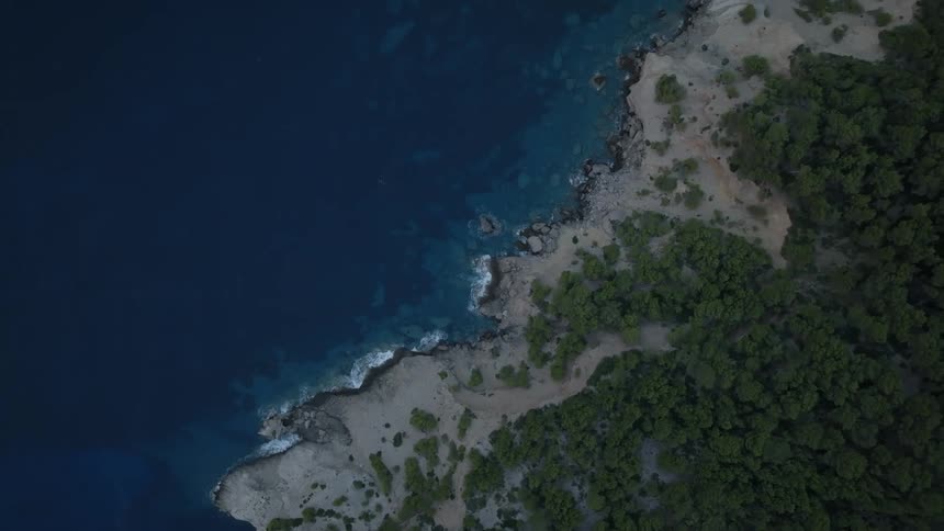 Aerial view of a peninsula with vegetation and crystalclear sea