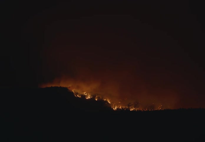 A forest fire burning trees and billowing smoke into the air at night
