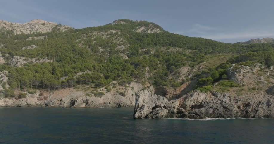 A peninsula with vegetation and a clear blue sea