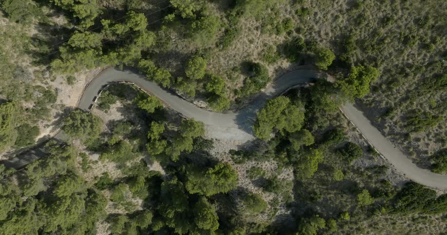 A car driving on a winding road through nature