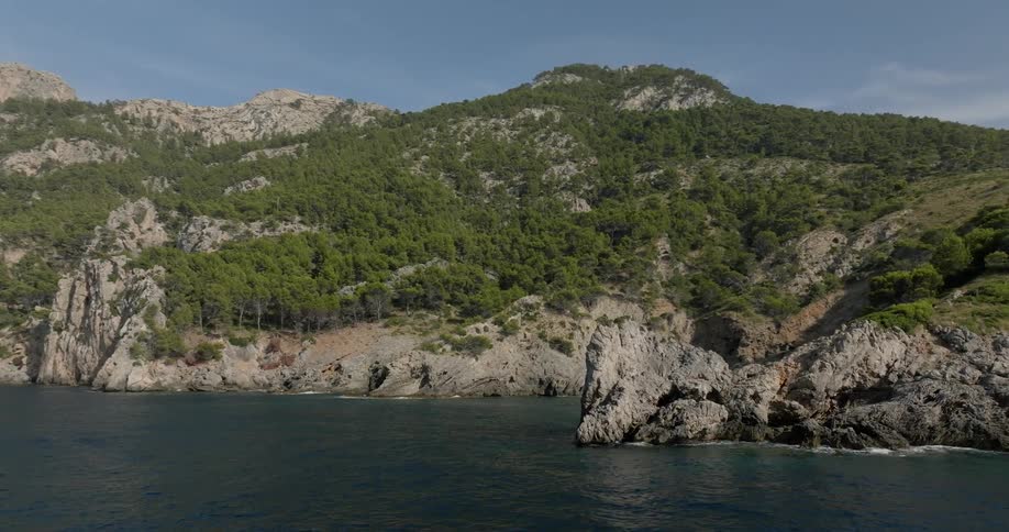 An island covered in grass at midday