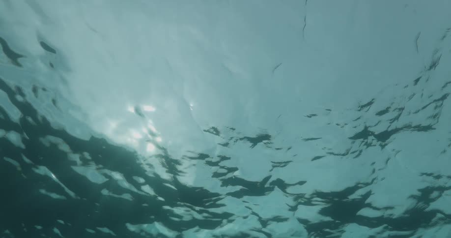 A view from below the water showing the surface of the water and the reflection of sunlight