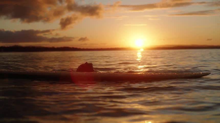 A young girl with a surf board getting her hair wet as the sun sets behind her