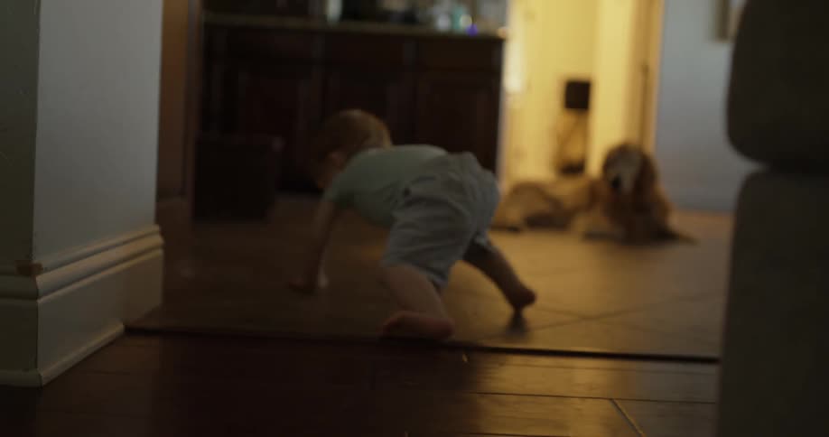 Baby crawling indoor on a wooden floor with Dog in background