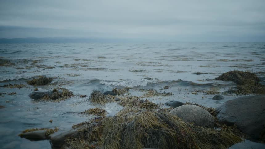 Ocean waves crashing over and hitting rocks with seaweed
