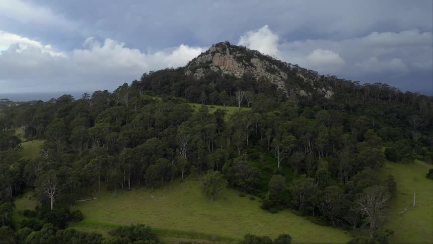 Green vegetation with trees grasses and a mountain