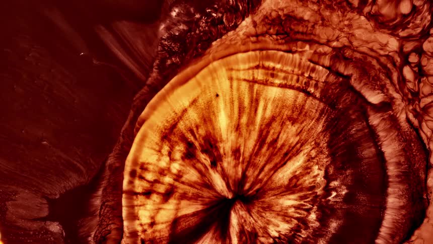 A stellar object that is exploding and expanding