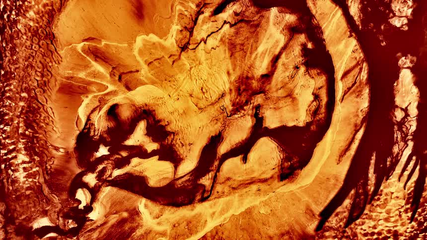 An orange liquid with small explosions inside is expanding
