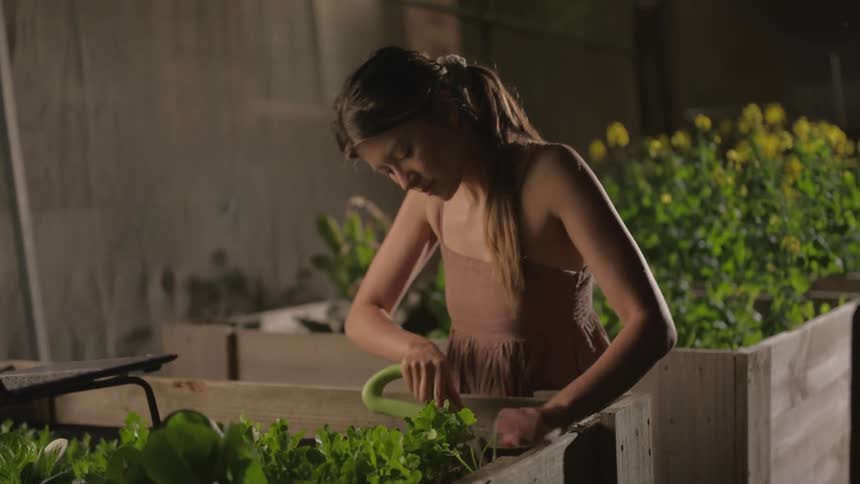 A woman arranging a box of vegetables with a utensil