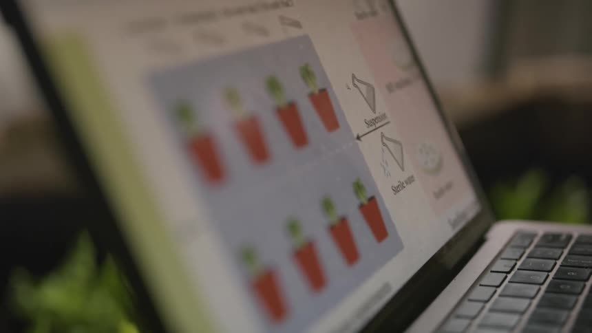 A person operating a laptop