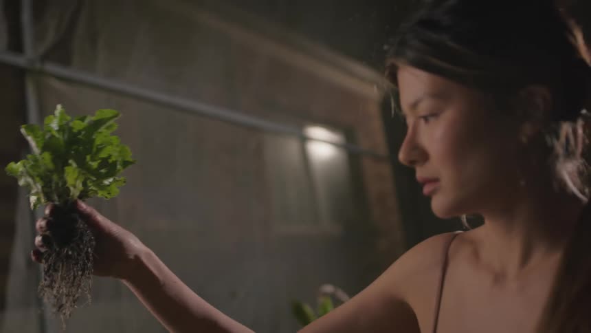 A woman harvests vegetables from a garden in a greenhouse at night
