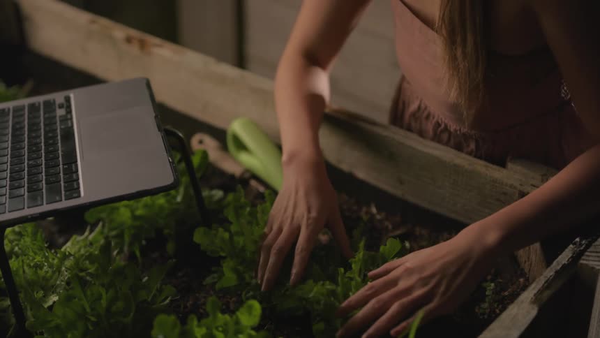Woman leans against raised garden bed and checks plant and laptop