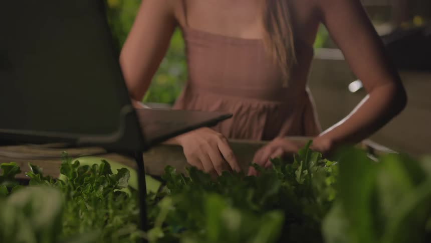 A woman using her laptop while simultaneously checking the quality of vegetables