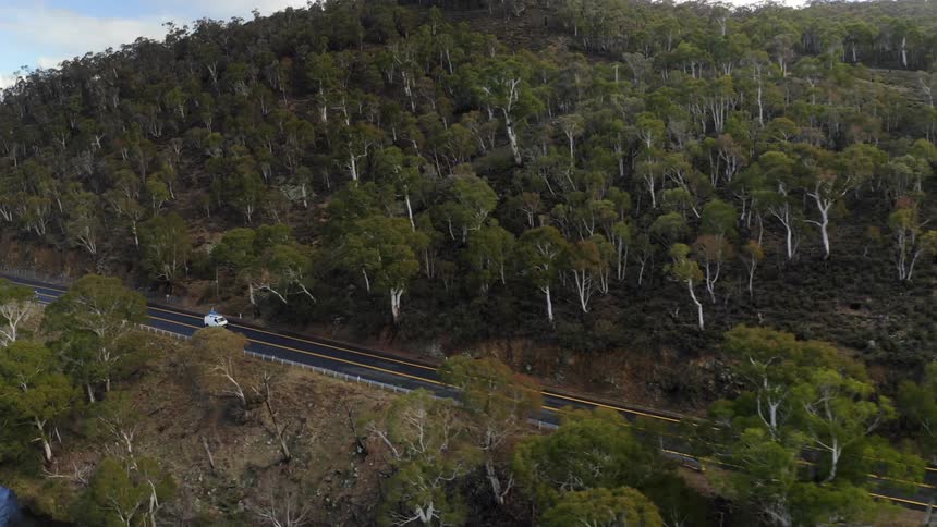 Aerial of a road surrounded by forest with a white car driving