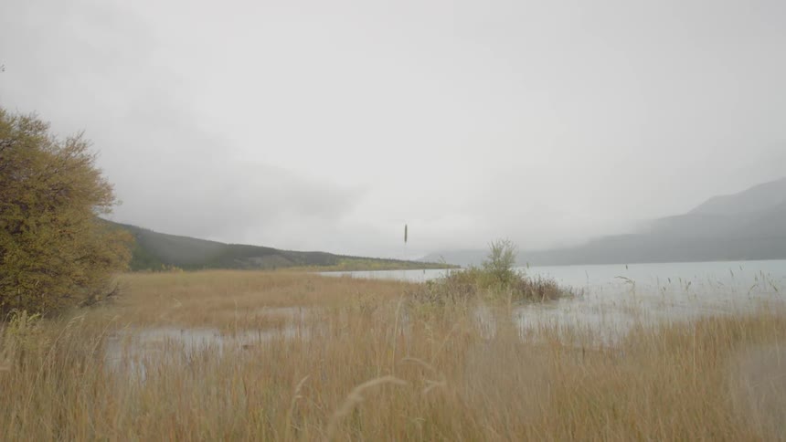 Tall yellow grass leads to a lake on a cloudy day