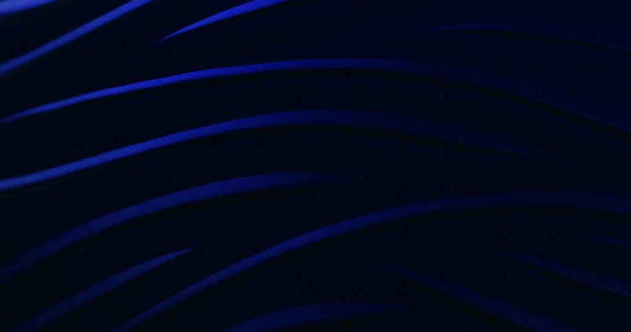 Several blue lines in a pattern are illuminated by a light source and then fall into darkness again
