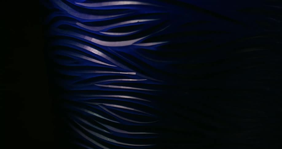 Light shines over a piece of art with wavy curves