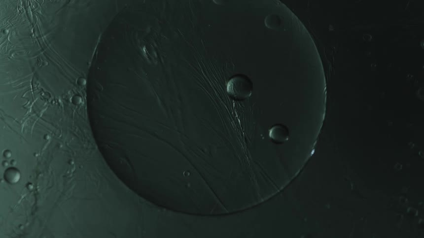 A surface of a viscous liquid with bubbles