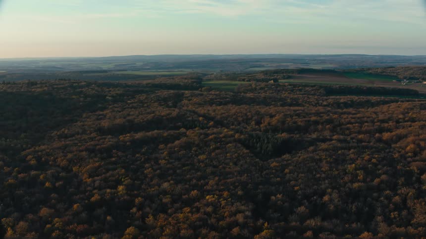 The horizon is covered in trees