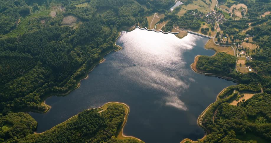 Aerial of a lake near a town and surrounded by forest