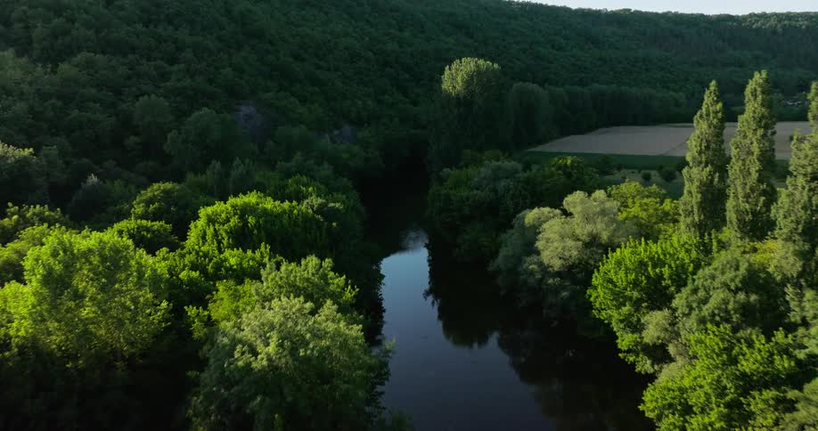 A reflective still river surrounded by green vegetation