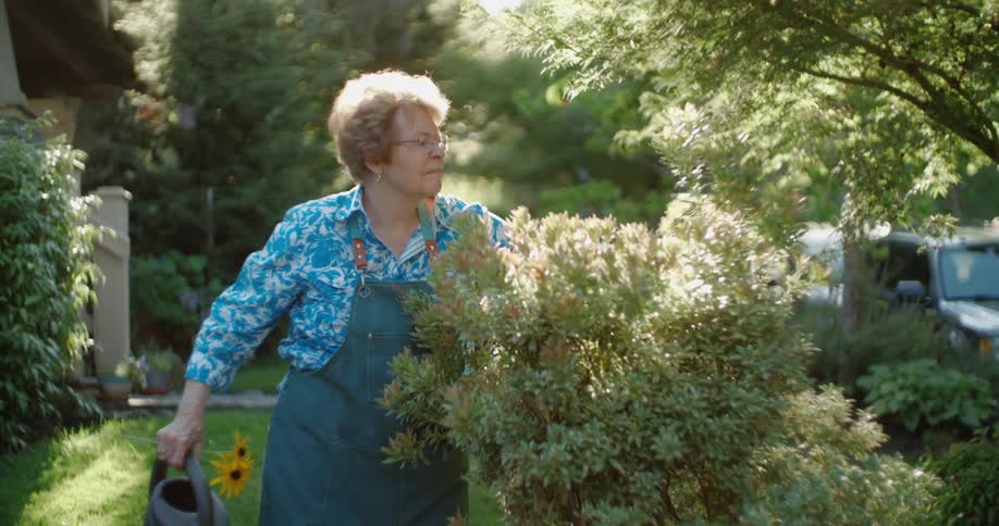 Elderly woman with a blue shirt and an apron tends plants and flowers in the backyard