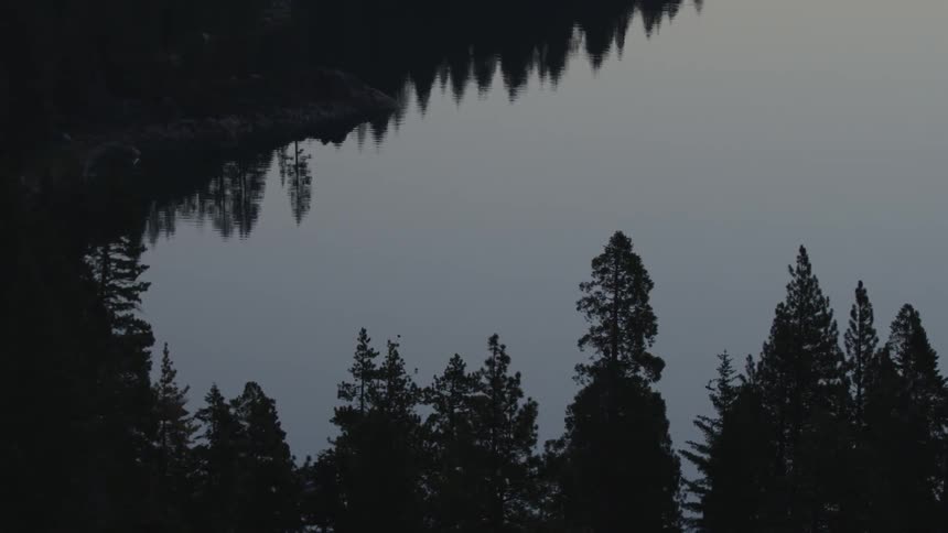 The calm water below is surrounded by trees