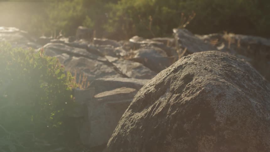 Large rocks are surrounded by bushes and trees