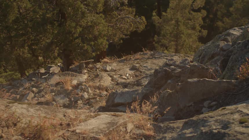 Rocks fall and roll down a hill