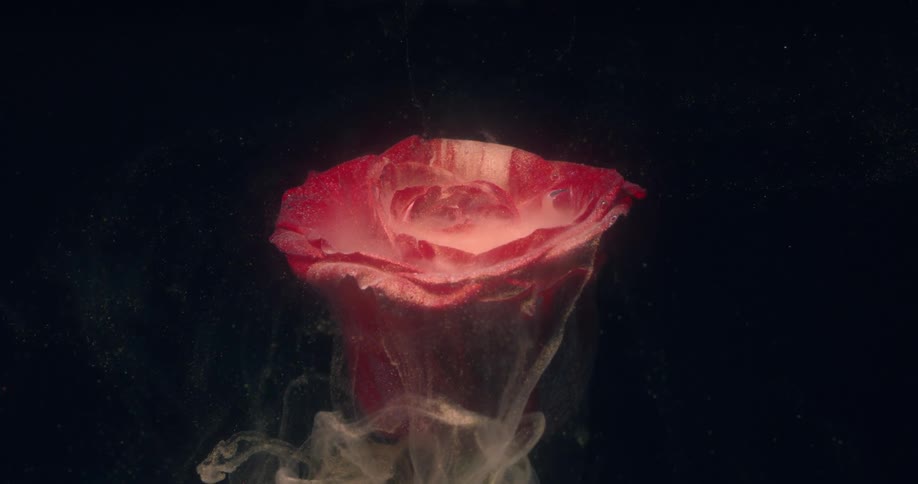 Smoke pours from the flower