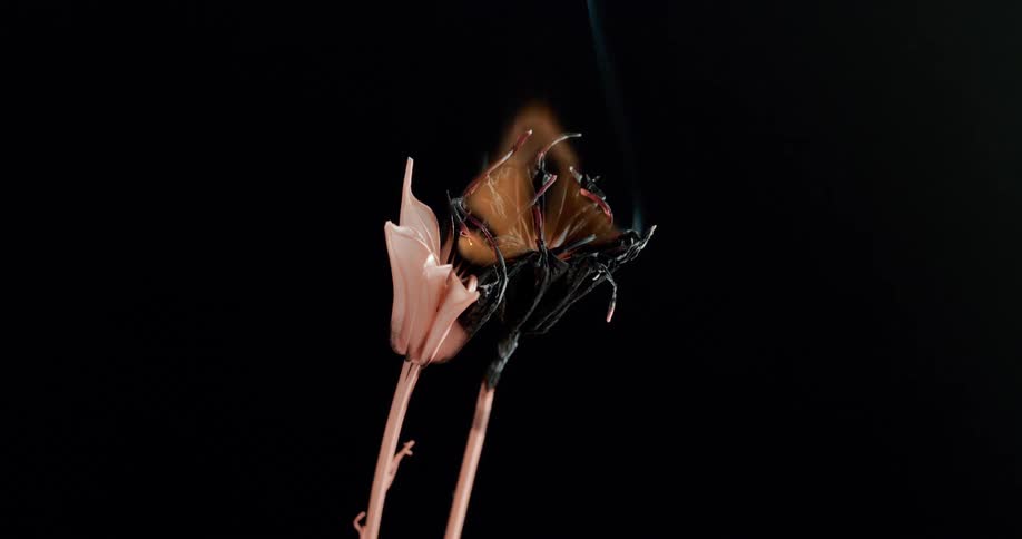 An object on fire in a dark environment