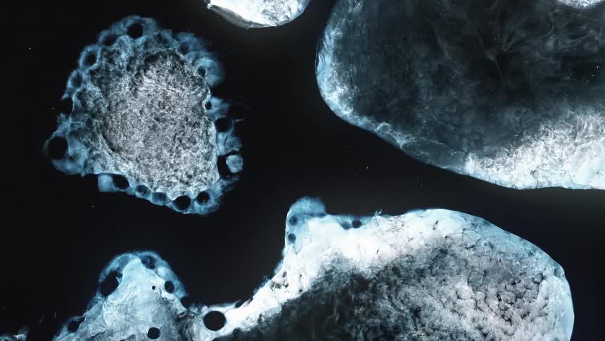 Abstract fluids expanding and dissolving