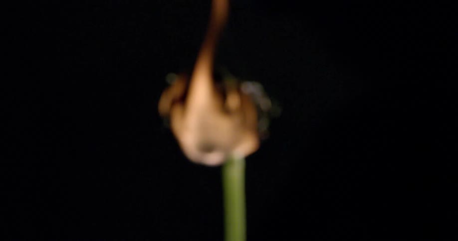 The flower is in flames