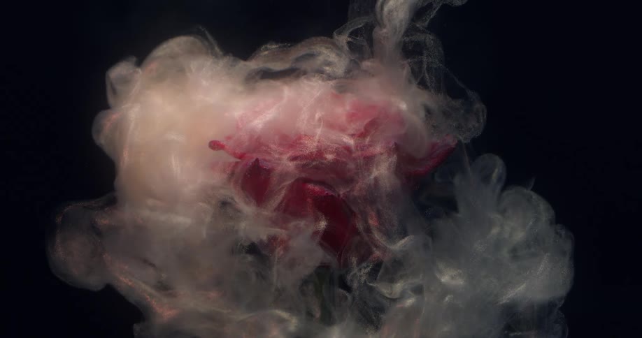 White liquid ink forms a cloud around a submerged rose