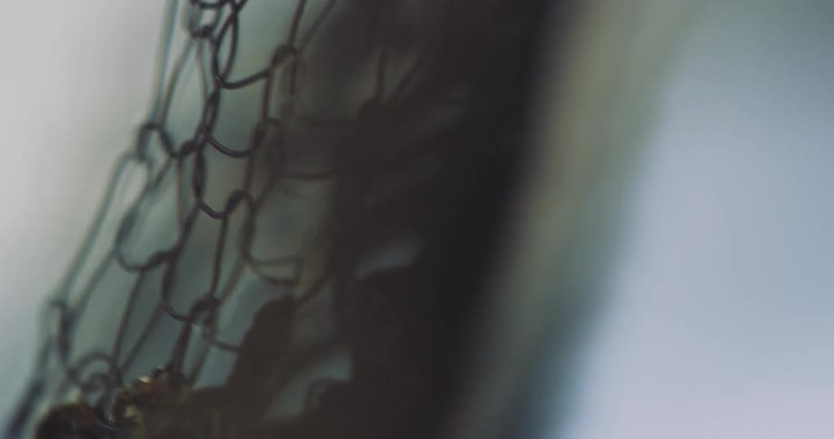 Close up of a net suspended outdoors