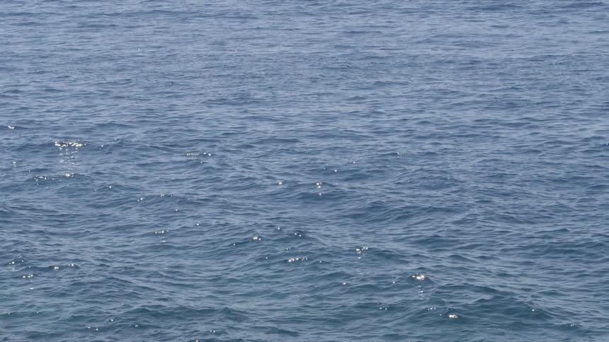 The rough water below has small waves