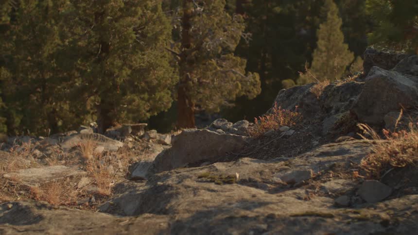 Rocks tumble down a steep hill