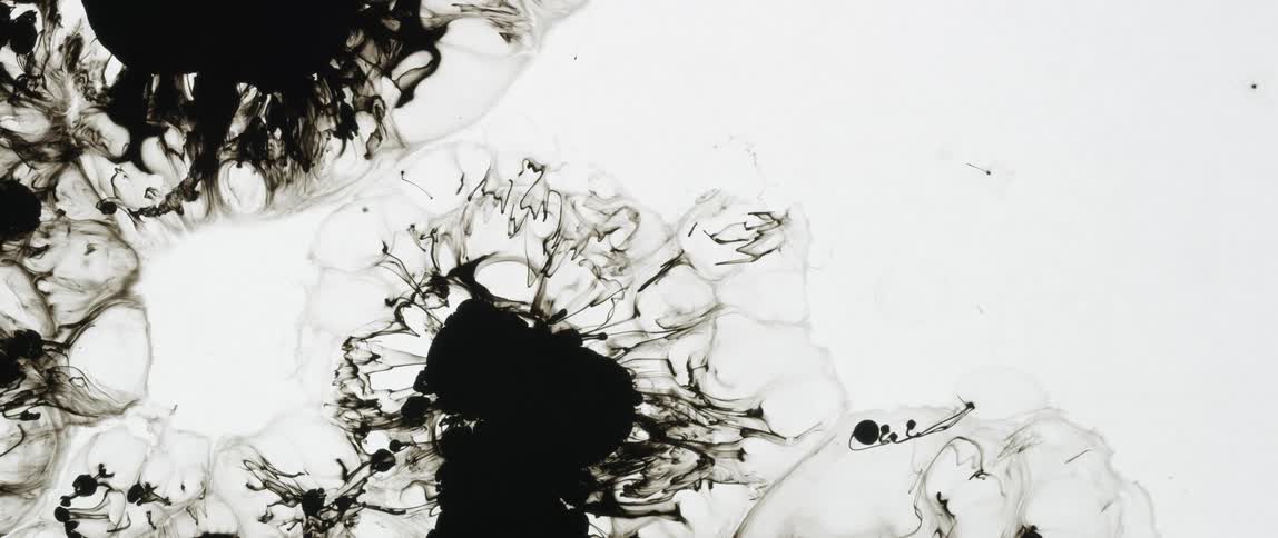 An ink splatter into water
