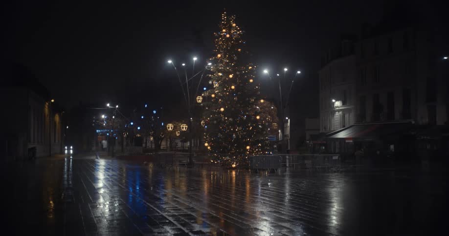 A community decorated with a christmas tree